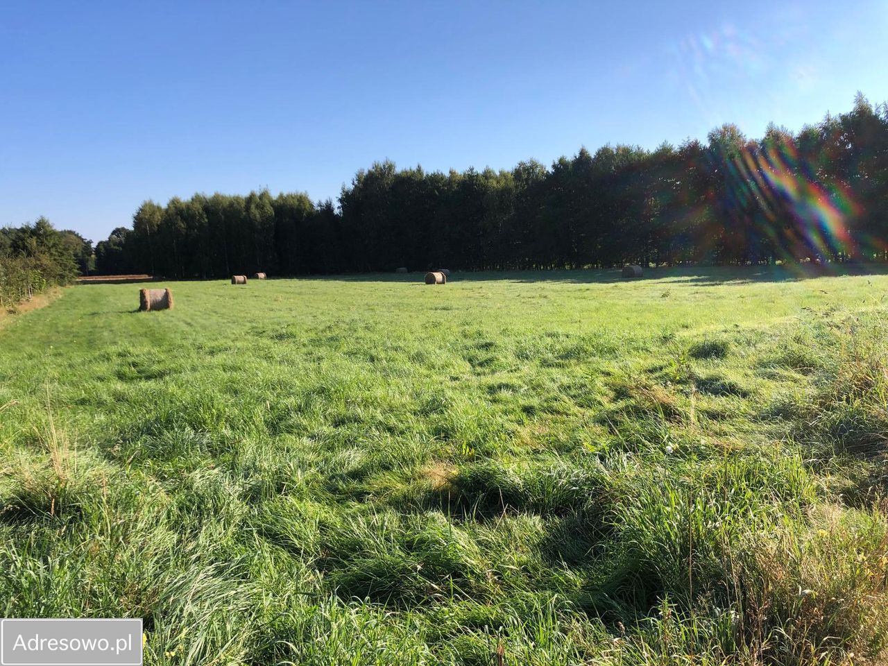 Działka rolno-budowlana Świeradów-Zdrój