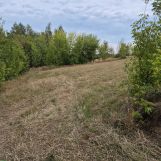 Działka rolna Szwarszowice. Zdjęcie 2