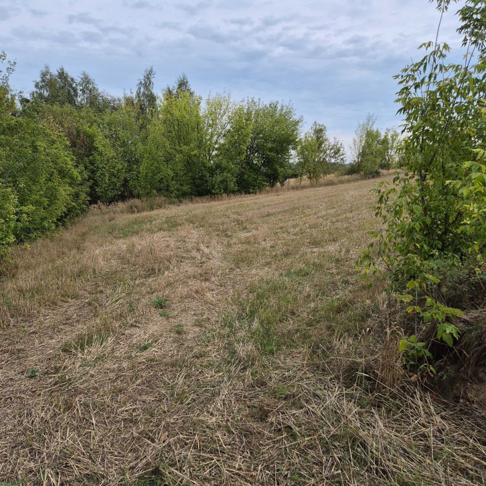 Działka rolna Szwarszowice. Zdjęcie 3