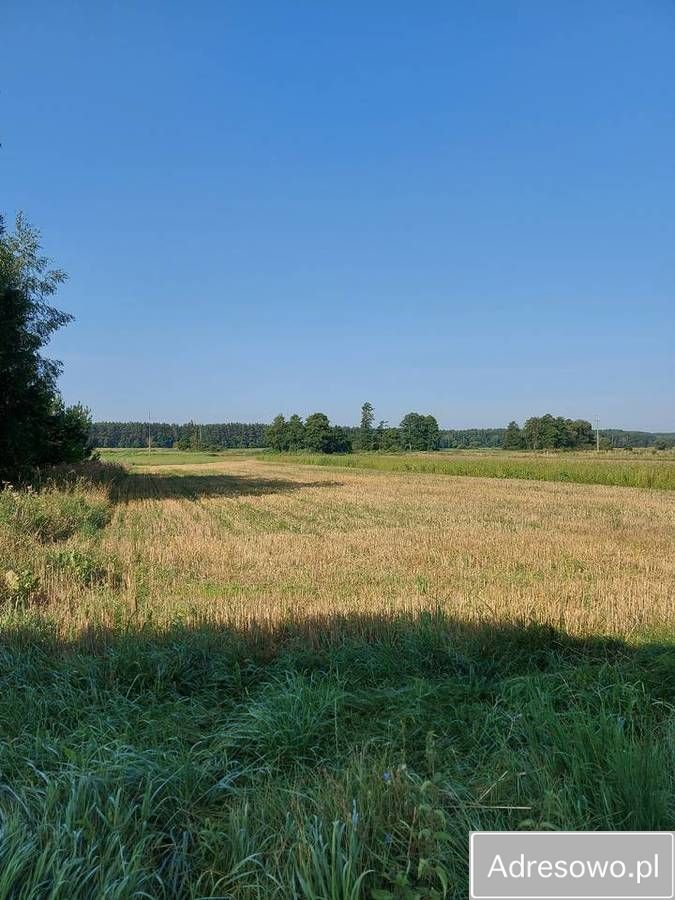 Działka siedliskowa Rusków. Zdjęcie 11