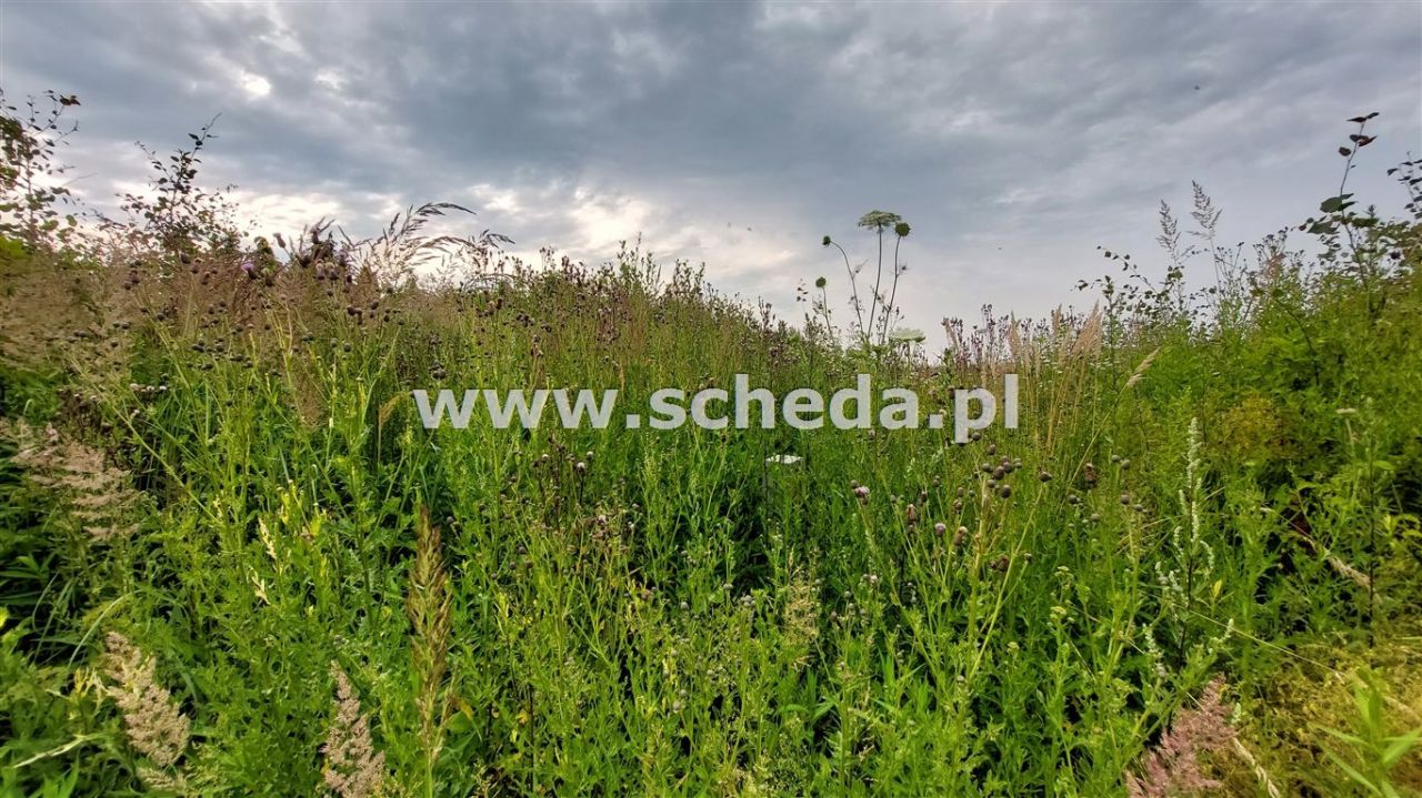 Działka budowlana Cegielnia. Zdjęcie 4