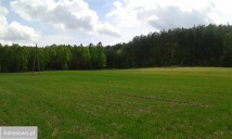 Działka rekreacyjna Sabinów. Zdjęcie 4