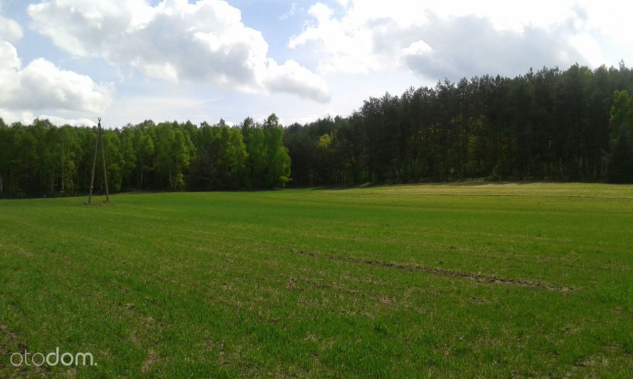 Działka rekreacyjna Sabinów. Zdjęcie 5