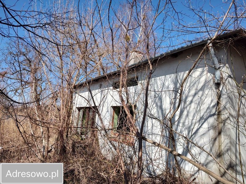 gospodarstwo, 7 pokoi Szczutkowo. Zdjęcie 14