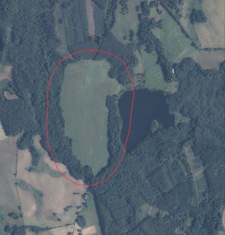 Działka rolna Berkanowo. Zdjęcie 1