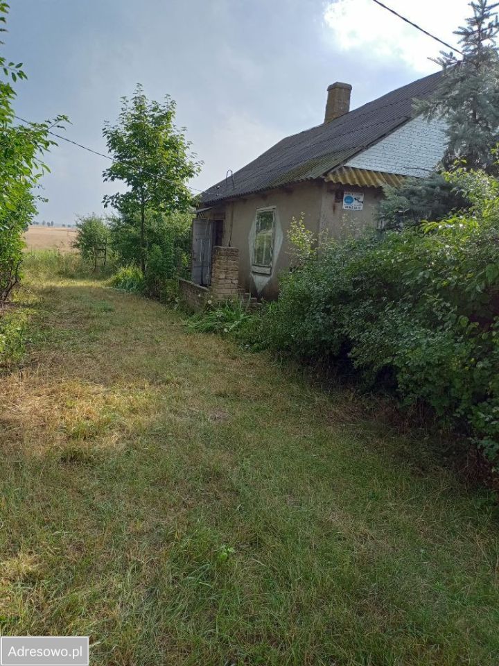 siedlisko Tchórzew-Kolonia. Zdjęcie 2