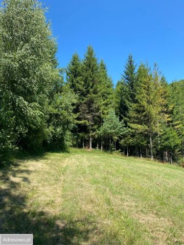 Działka rolna Ropienka. Zdjęcie 1