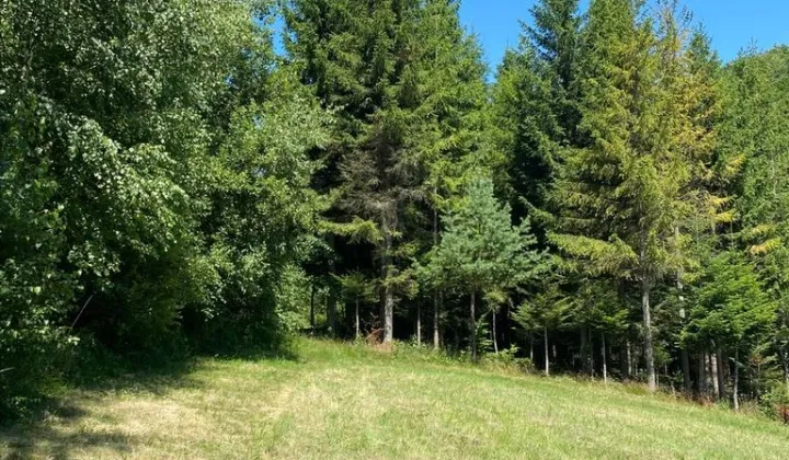 Działka rolna Ropienka