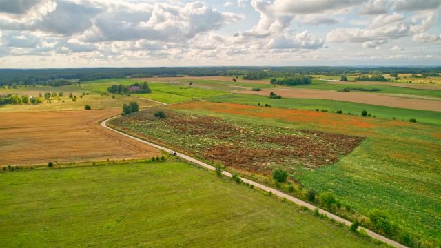 Działka rolna Dziubiele. Zdjęcie 5
