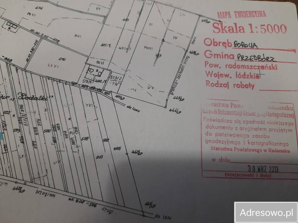 Działka leśna Wojciechów. Zdjęcie 5