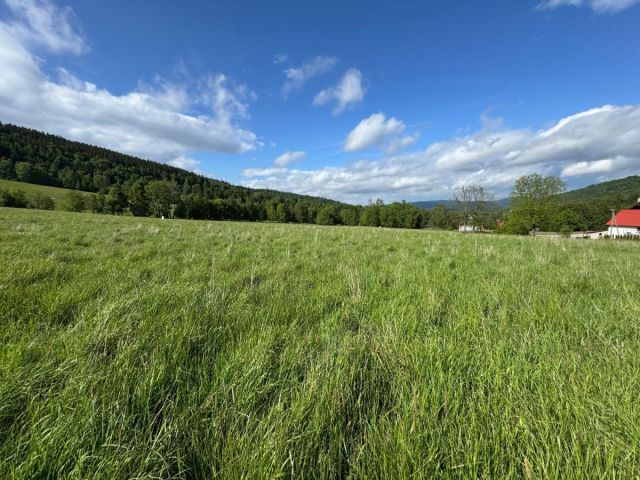 Działka budowlana Stronie Śląskie. Zdjęcie 8