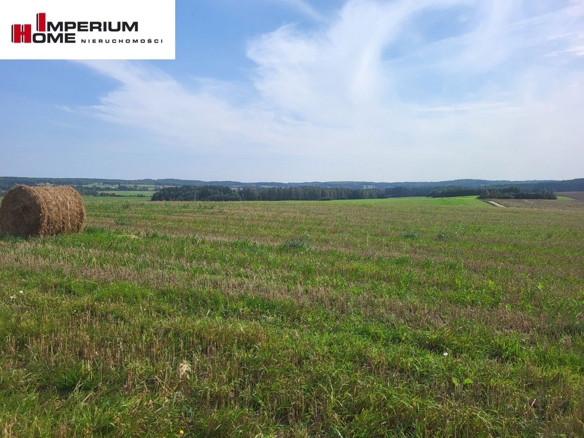 Działka budowlana Dzięcielec. Zdjęcie 2