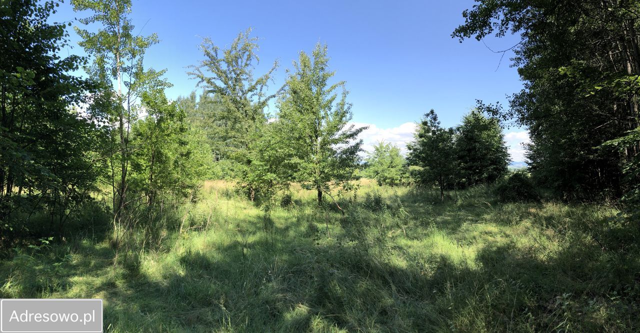 dom wolnostojący, 6 pokoi Polanica-Zdrój. Zdjęcie 4