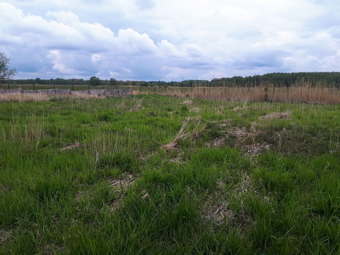 Działka rolna Warnołęka. Zdjęcie 7