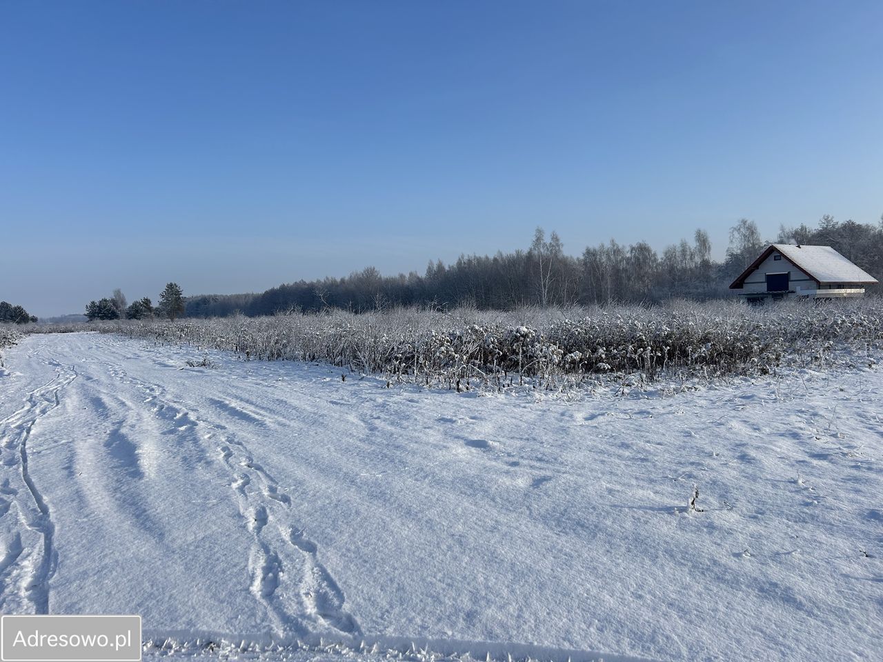 Działka budowlana Wszemirów. Zdjęcie 5