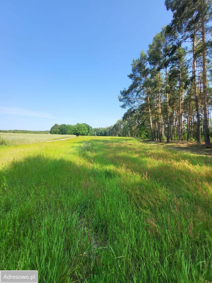 Działka budowlana Bledzew. Zdjęcie 7