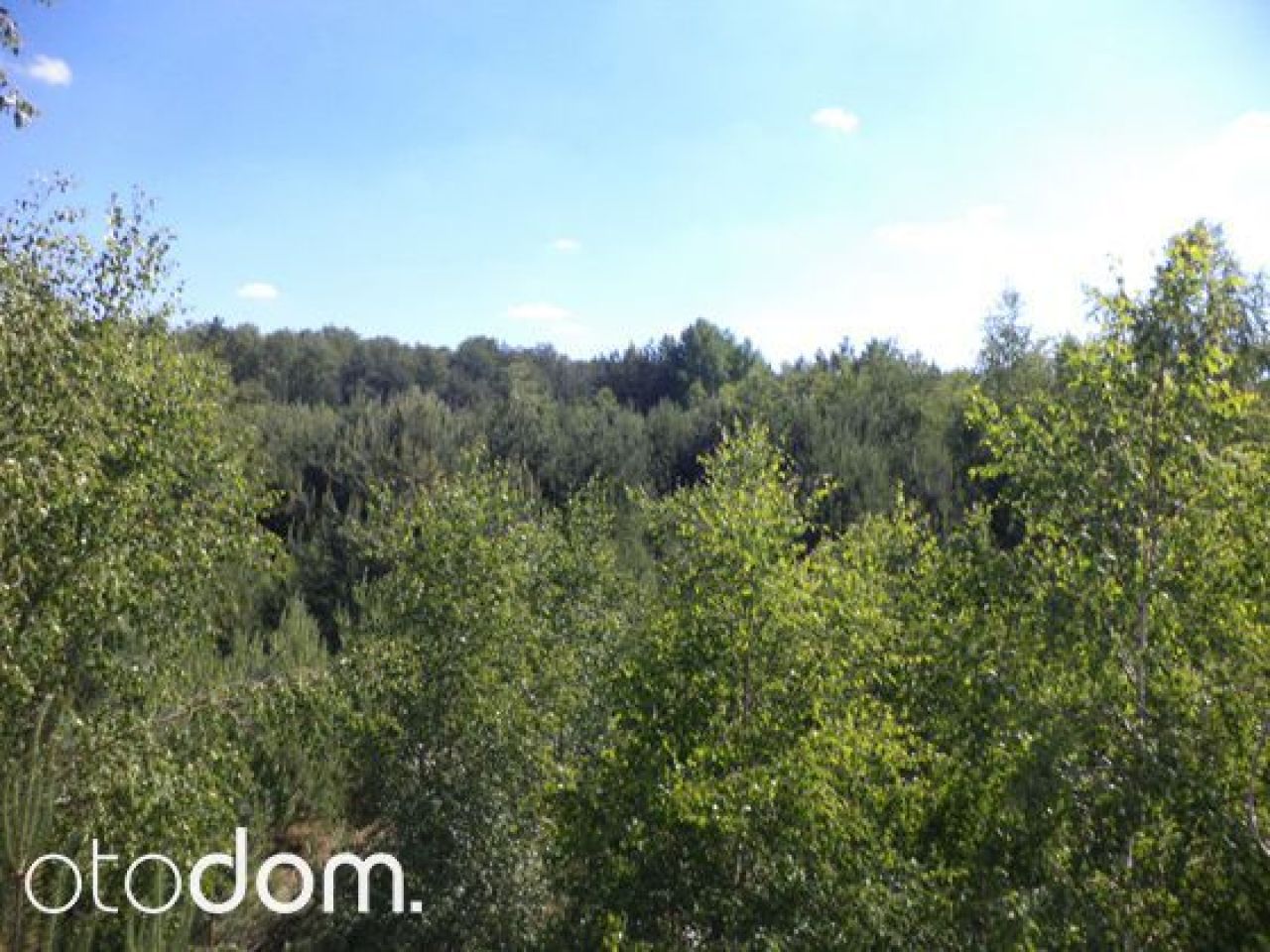 Działka siedliskowa Rędziny. Zdjęcie 13