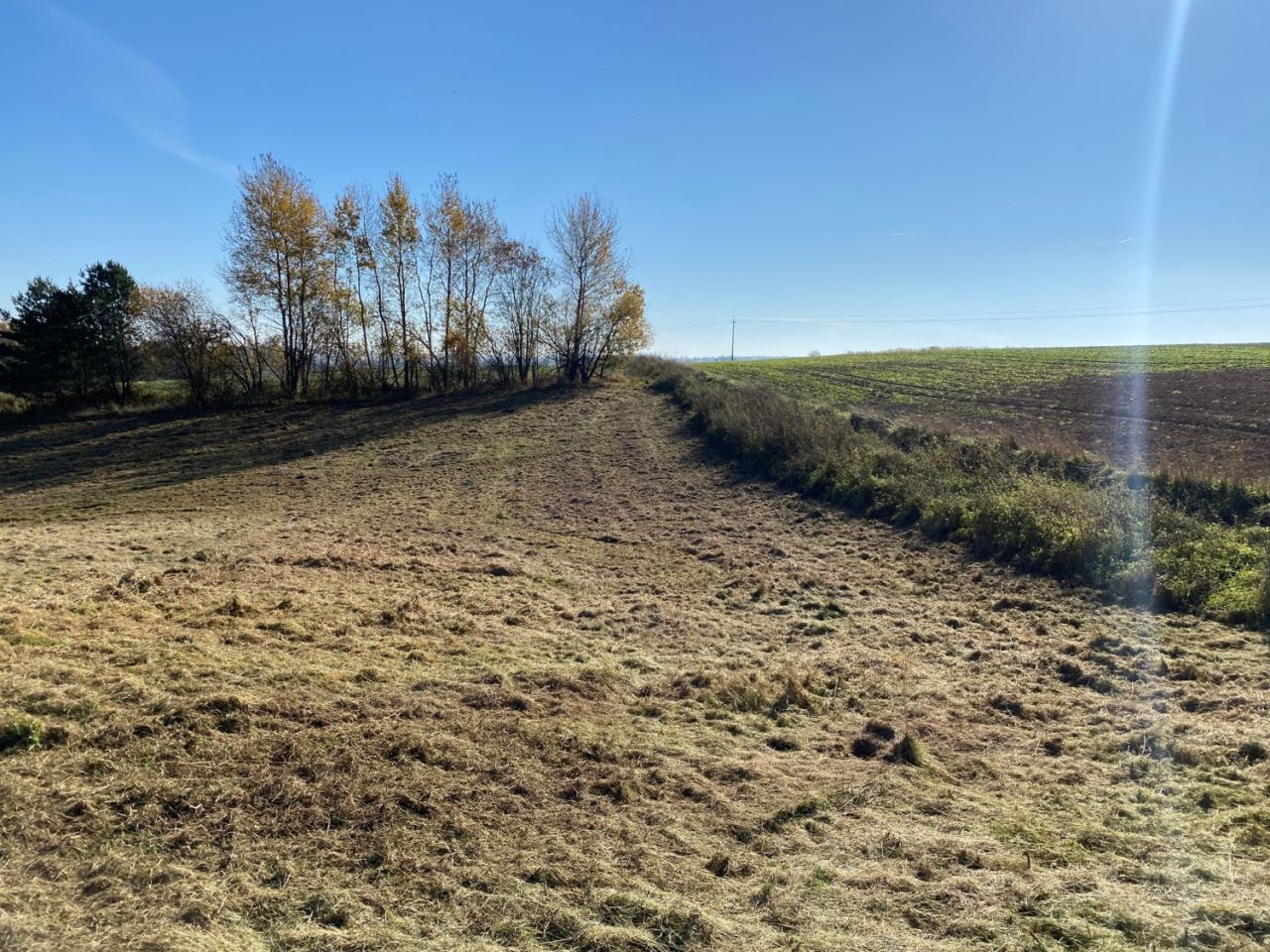 Działka rolna Rożki. Zdjęcie 3