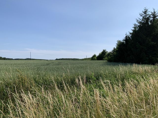 Działka budowlana Wińsko, ul. Wincentego Witosa. Zdjęcie 1
