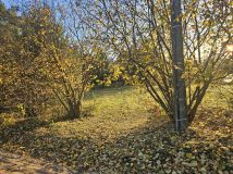 Działka budowlana Kubice Raki. Zdjęcie 4