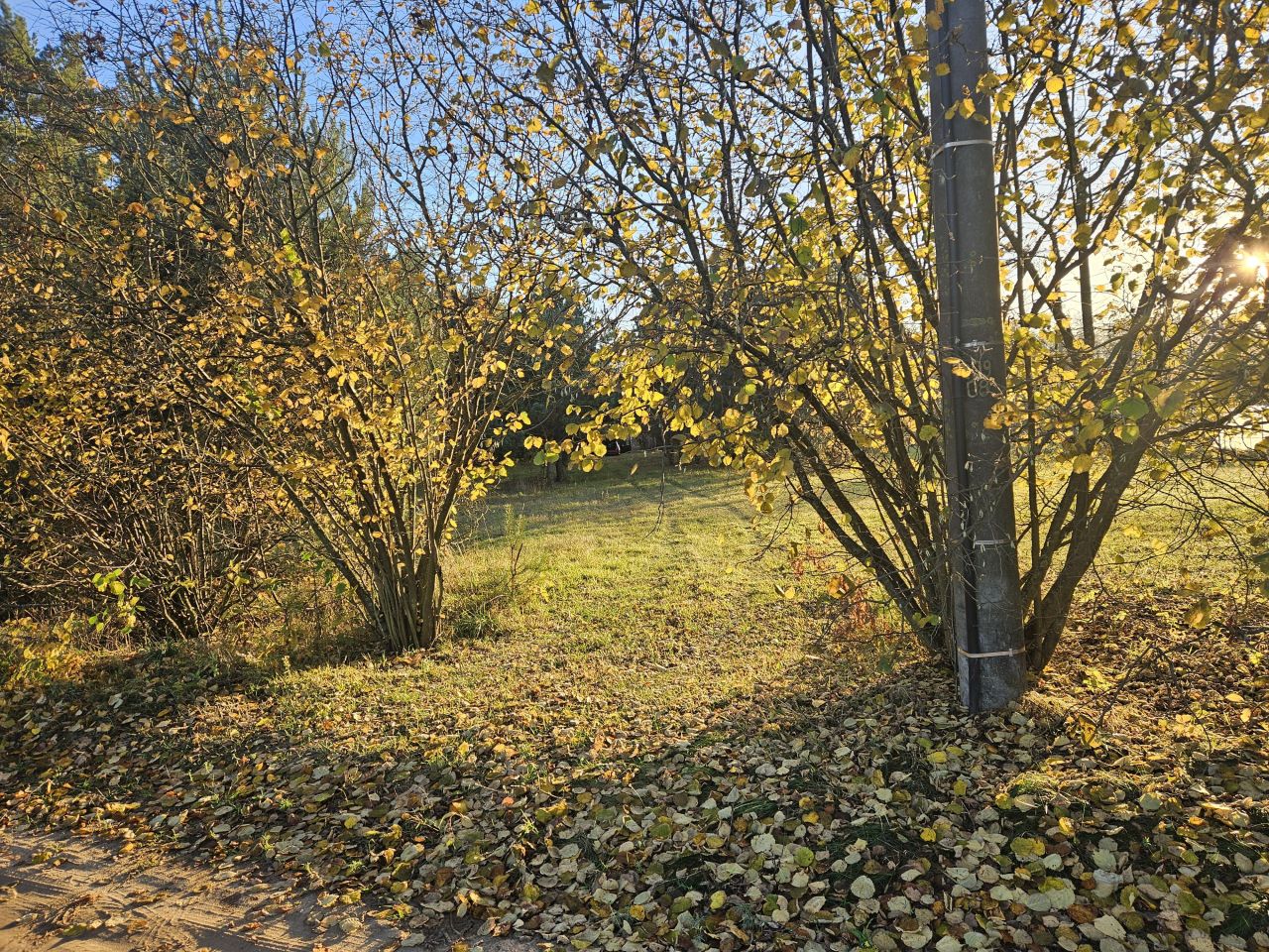 Działka budowlana Kubice Raki. Zdjęcie 5