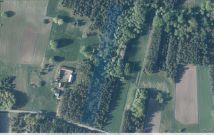 Działka leśna Mogielnica. Zdjęcie 3