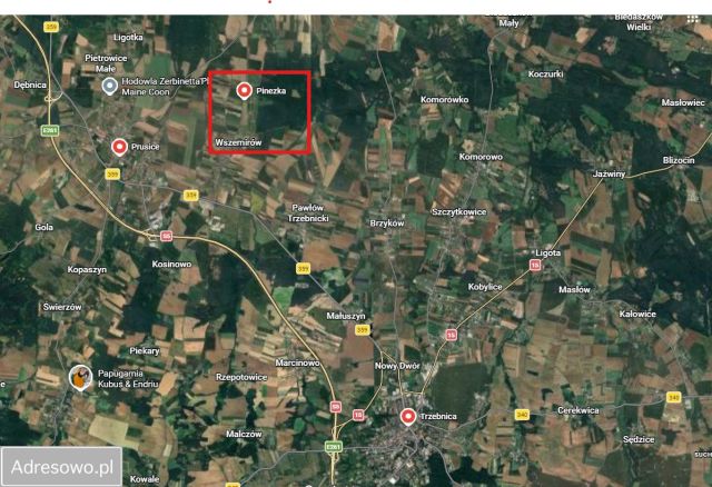 Działka budowlana Wszemirów. Zdjęcie 1