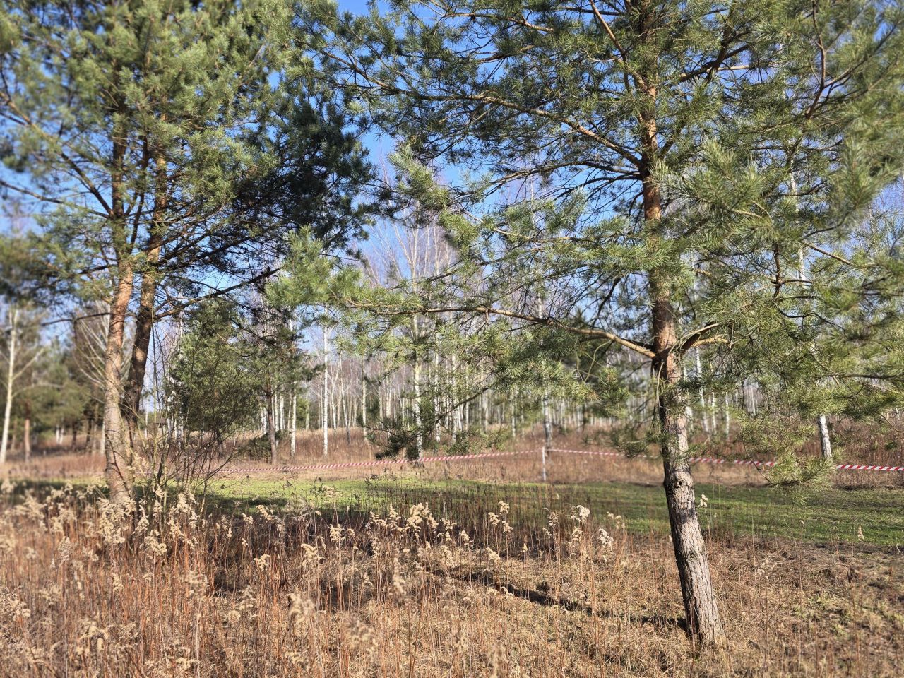 Działka rolno-budowlana Leontyna, Parkowa. Zdjęcie 2