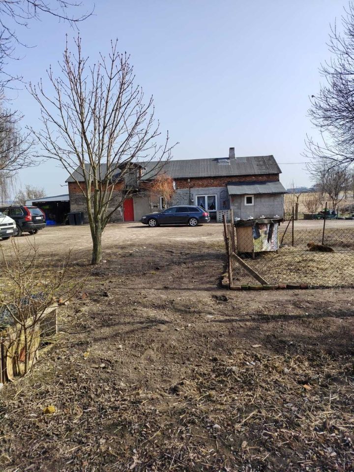 gospodarstwo Pawlikowice. Zdjęcie 2