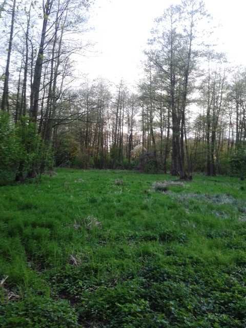 Działka rolna Piotrówek. Zdjęcie 4