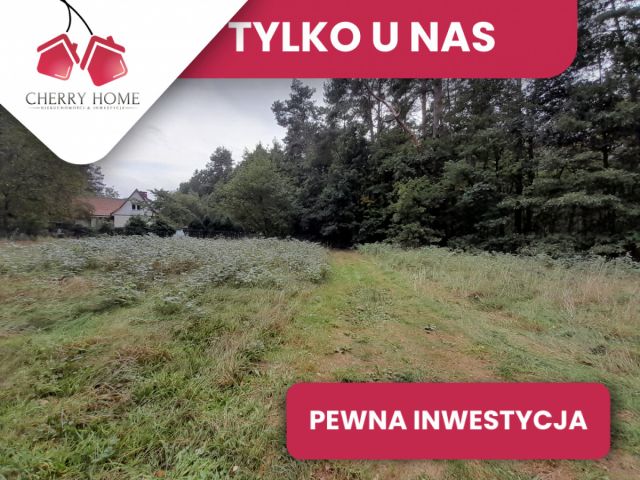 Działka budowlana Bieszkowice. Zdjęcie 1