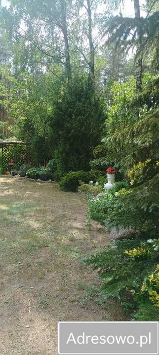 dom letniskowy, 2 pokoje Cieksyn, ul. Świerkowa. Zdjęcie 4