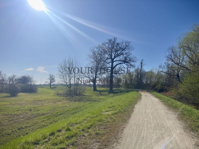 Działka budowlana Trestno. Zdjęcie 4