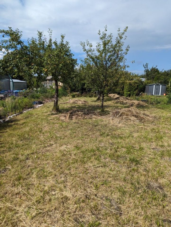 Działka rod Gdańsk Orunia. Zdjęcie 5