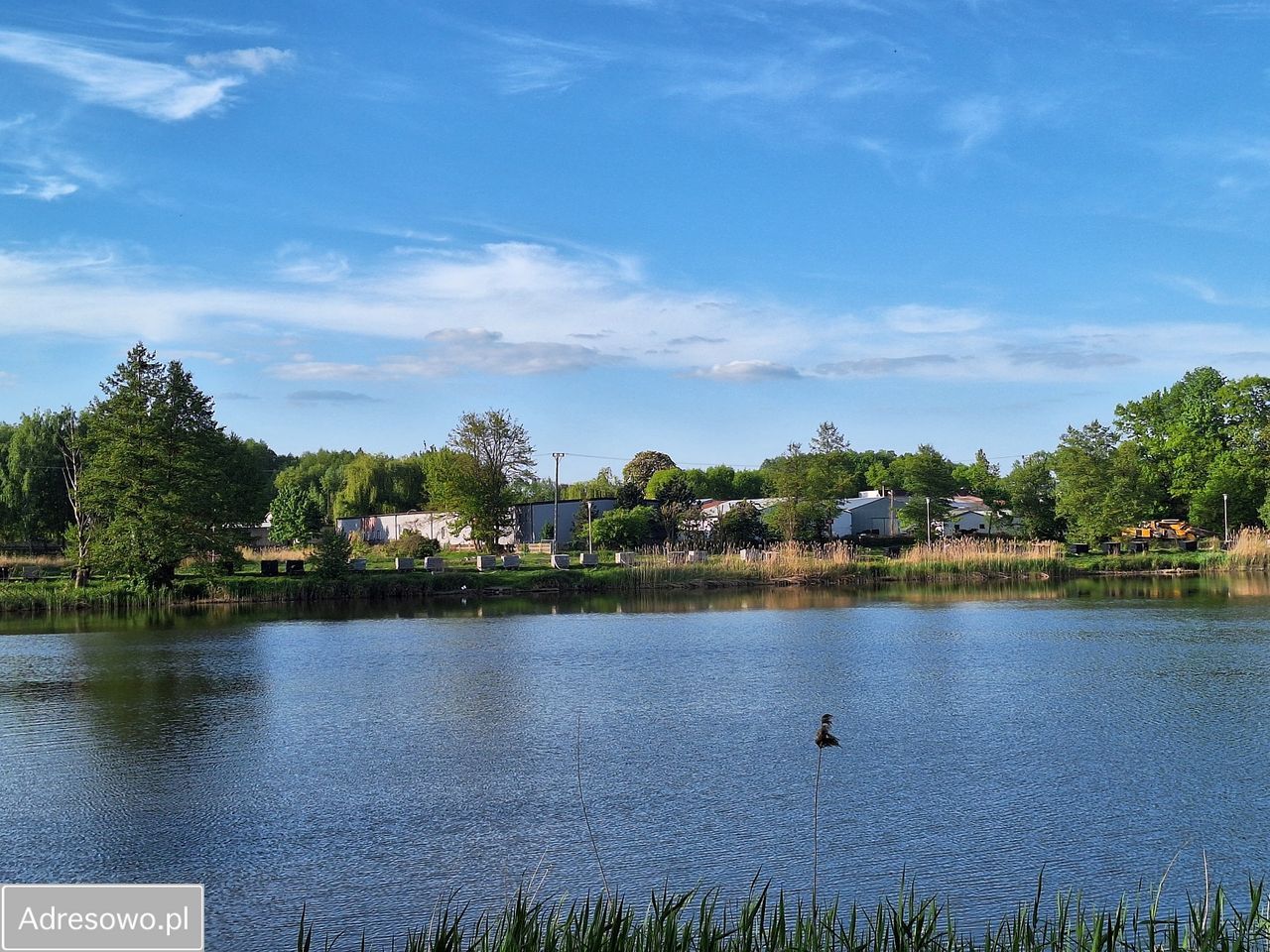 Działka inwestycyjna Rawa Mazowiecka. Zdjęcie 14