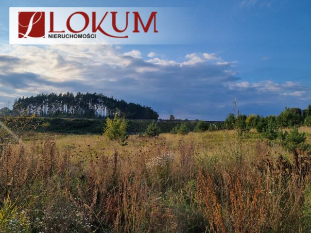 Działka budowlana Lipusz. Zdjęcie 14