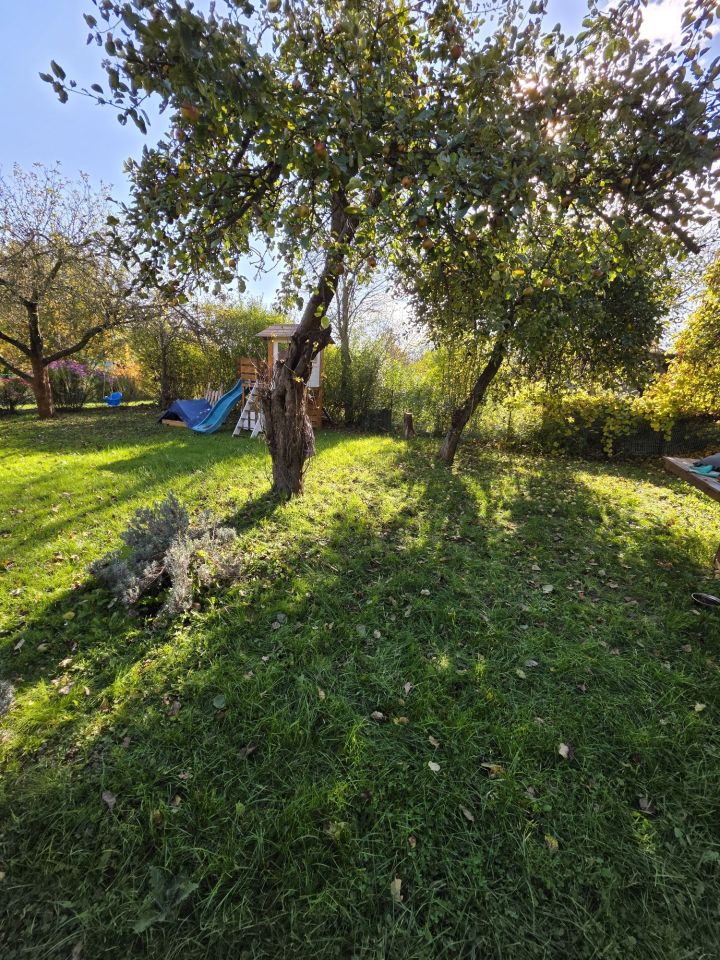 Działka rod Wrocław Stare Miasto, ul. Grabiszyńska. Zdjęcie 2