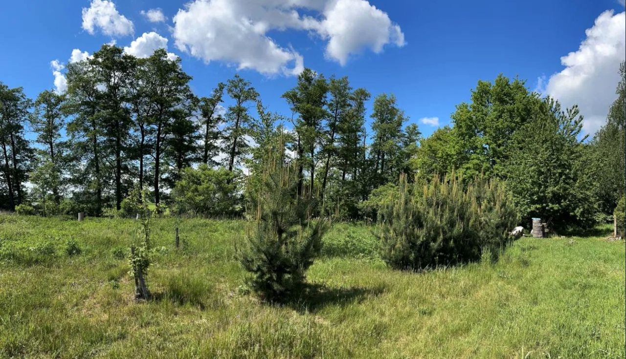 Działka budowlana Gorzów Śląski, Gorzów Śląski. Zdjęcie 12