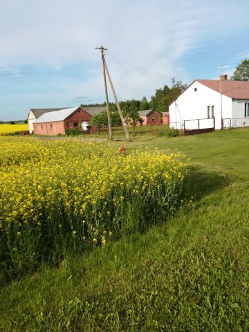 siedlisko, 3 pokoje Tarkawica. Zdjęcie 1