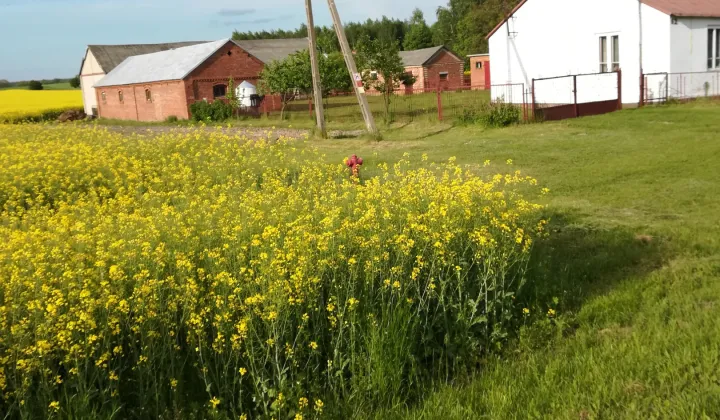 siedlisko, 3 pokoje Tarkawica