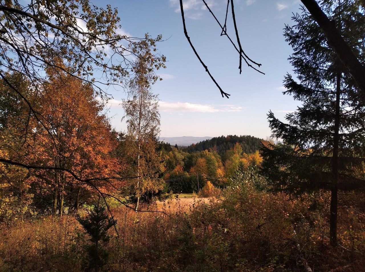 Działka budowlana Paszków. Zdjęcie 5