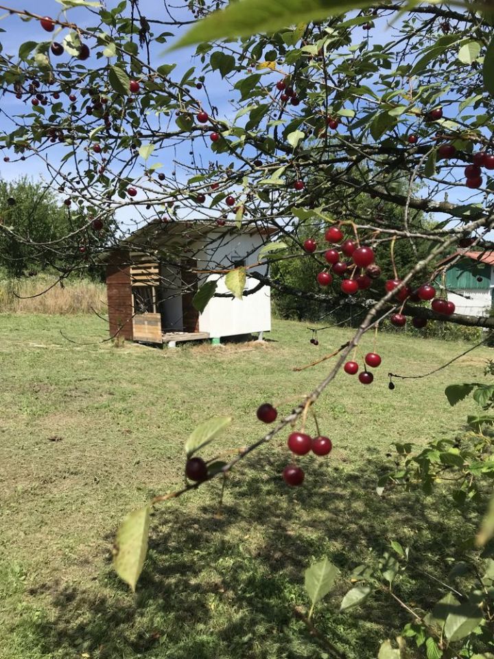 Działka rod Przemyśl. Zdjęcie 4