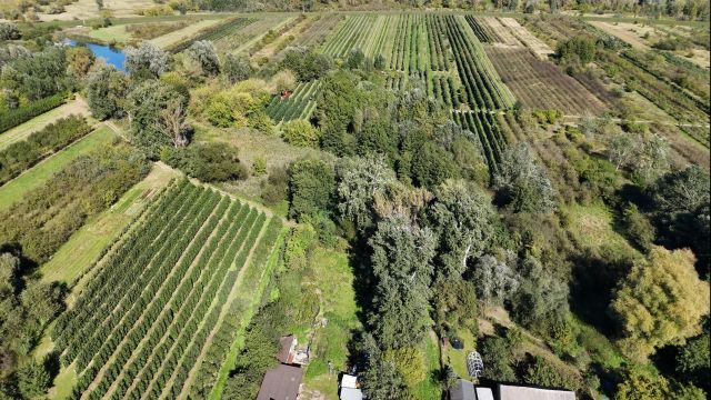 Działka rolna Mniszew. Zdjęcie 1