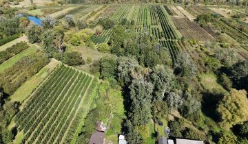 Działka rolna Mniszew