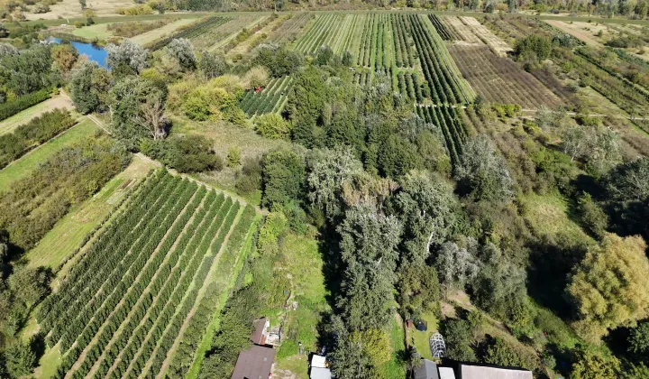 Działka rolna Mniszew