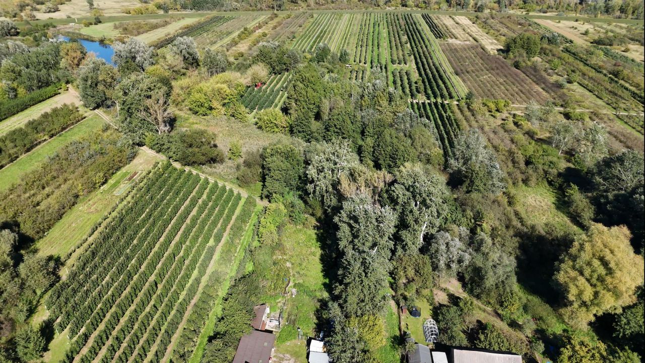 Działka rolna Mniszew