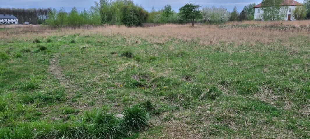 Działka budowlana Kręczki. Zdjęcie 8