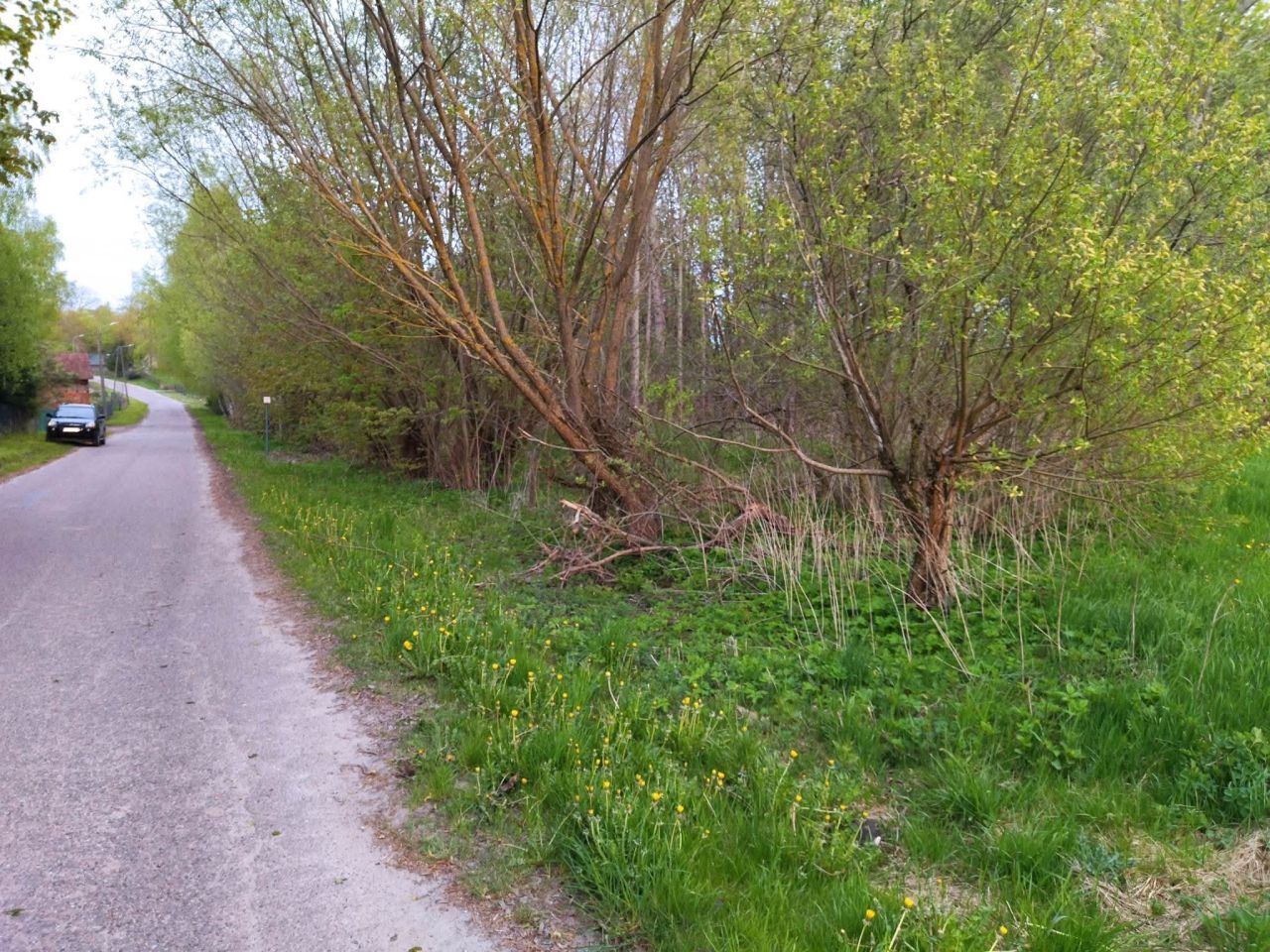 Działka budowlana Lesiska. Zdjęcie 6