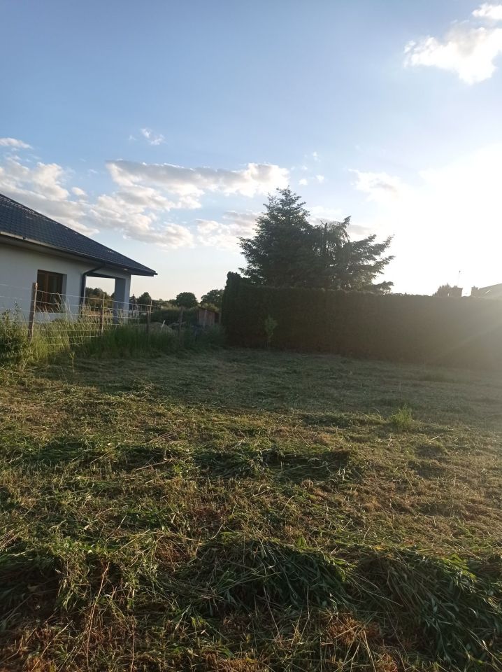 Działka budowlana Prawiedniki-Kolonia. Zdjęcie 5