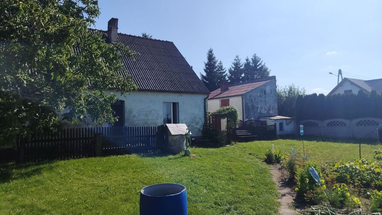 Działka rolno-budowlana Chraplewo. Zdjęcie 8